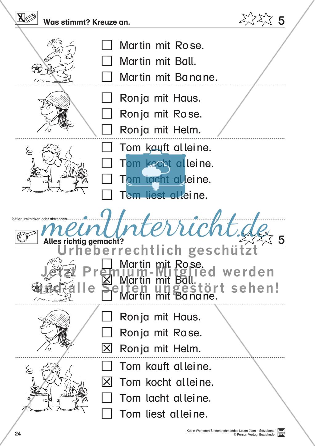 Sinnentnehmendes Lesen üben - Satzebene: