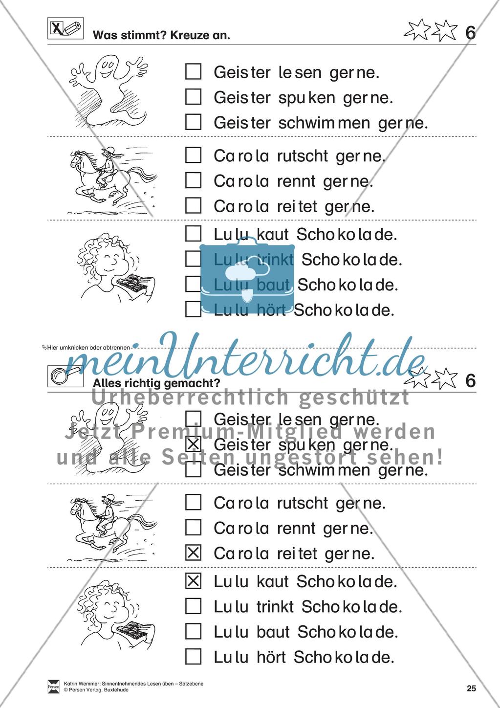 Sinnentnehmendes Lesen üben - Satzebene: