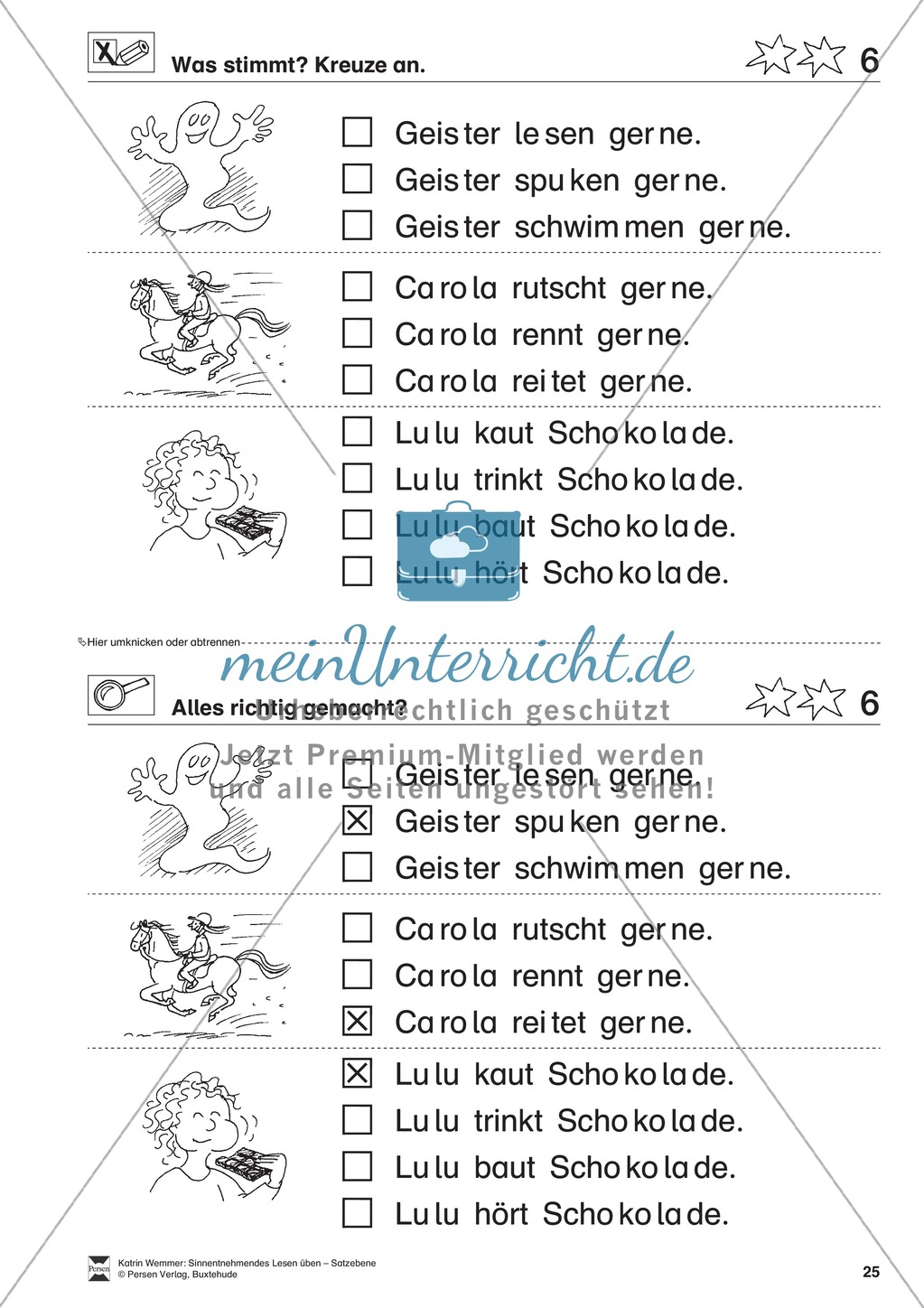 Sinnentnehmendes Lesen üben - Satzebene:
