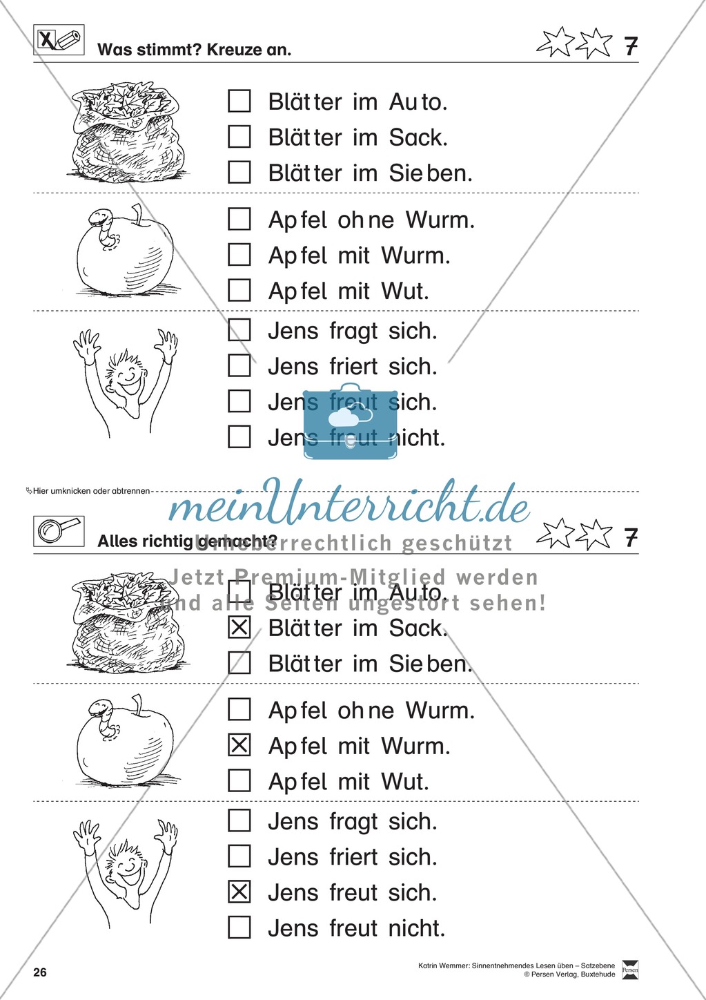 Sinnentnehmendes Lesen üben - Satzebene: