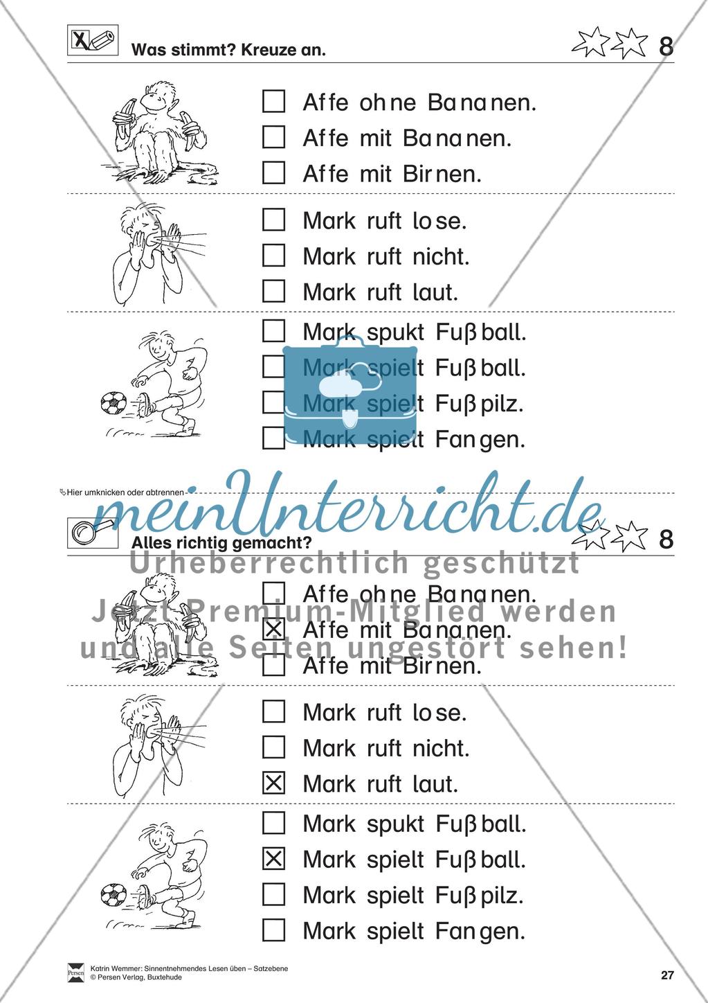 Sinnentnehmendes Lesen üben - Satzebene: