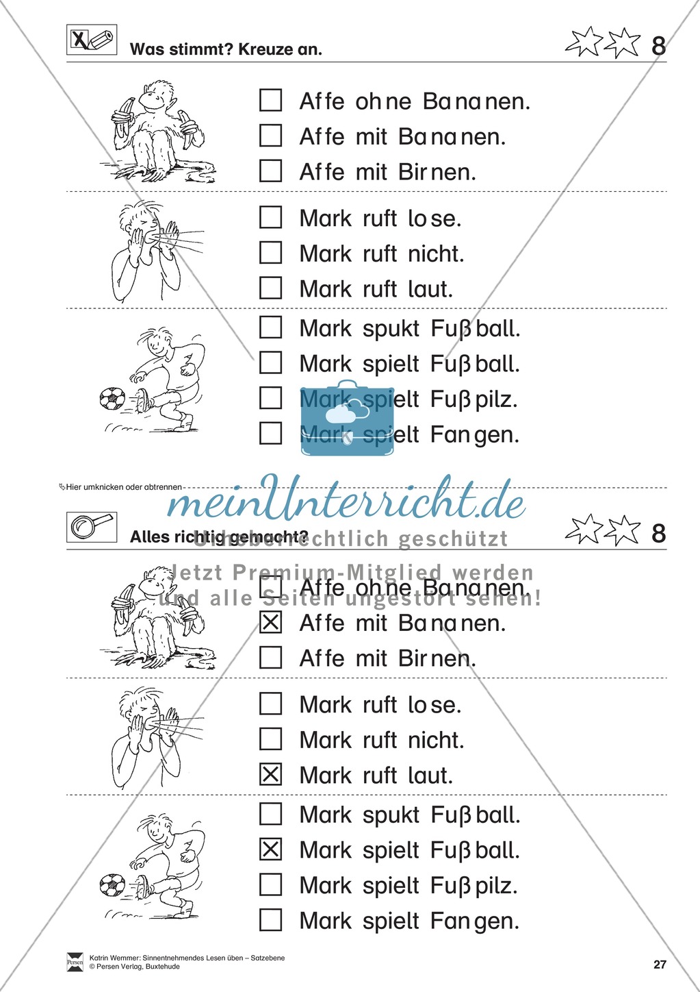 Sinnentnehmendes Lesen üben - Satzebene: