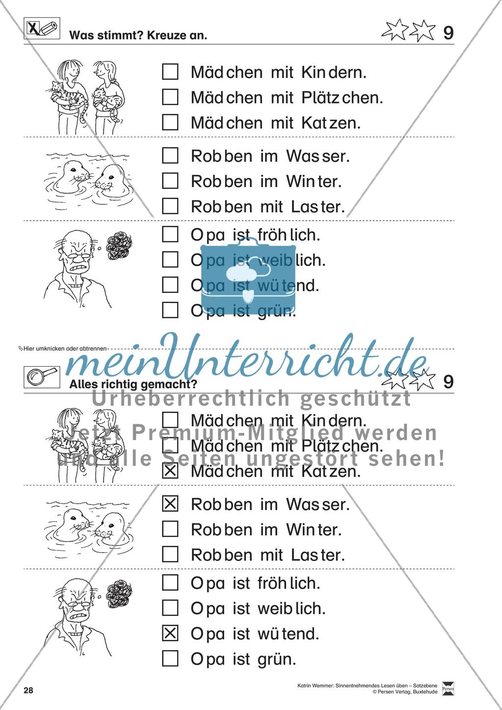 Sinnentnehmendes Lesen üben - Satzebene: