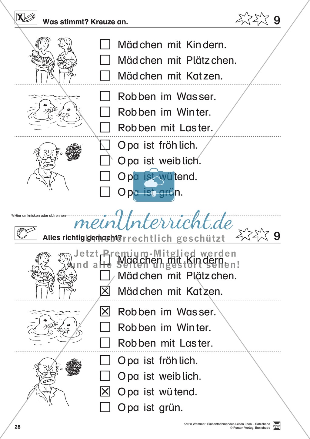Sinnentnehmendes Lesen üben - Satzebene: