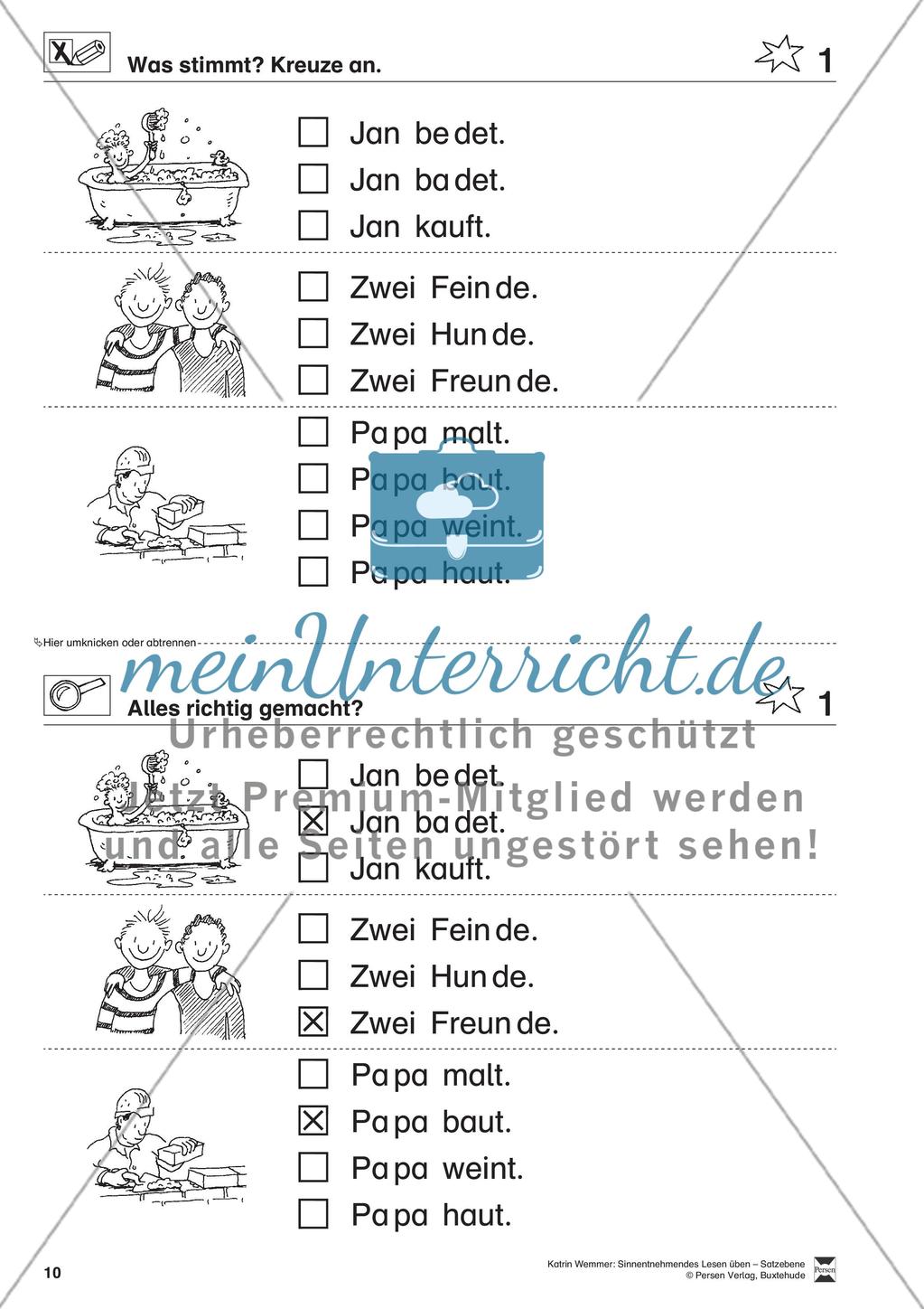 Sinnentnehmendes Lesen üben - Satzebene: