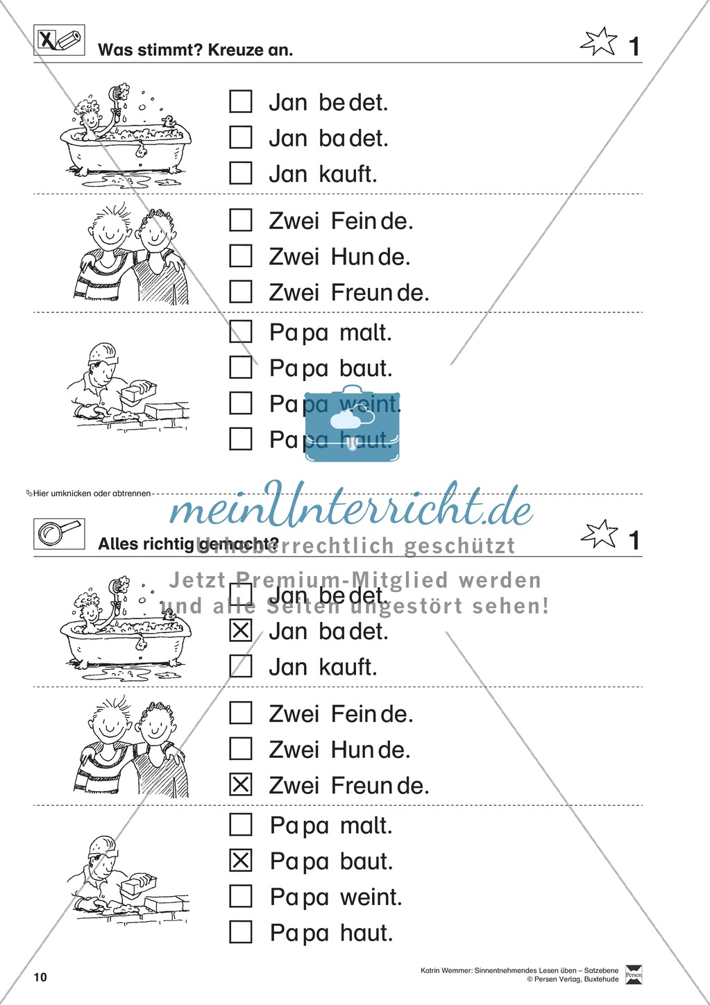 Sinnentnehmendes Lesen üben - Satzebene:
