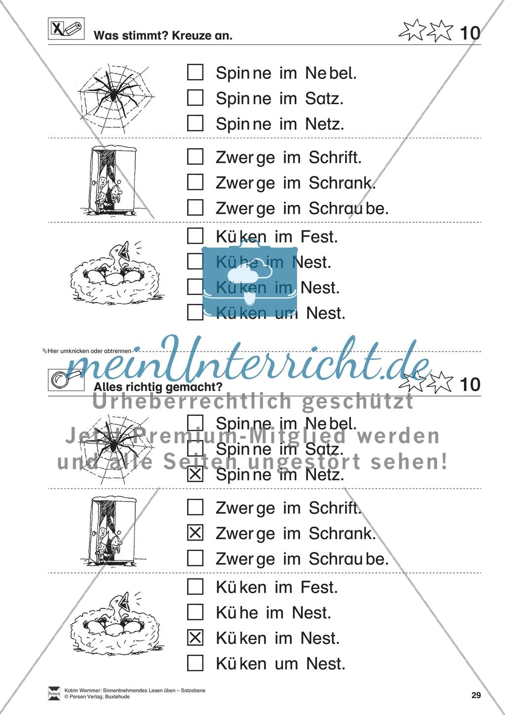 Sinnentnehmendes Lesen üben - Satzebene: