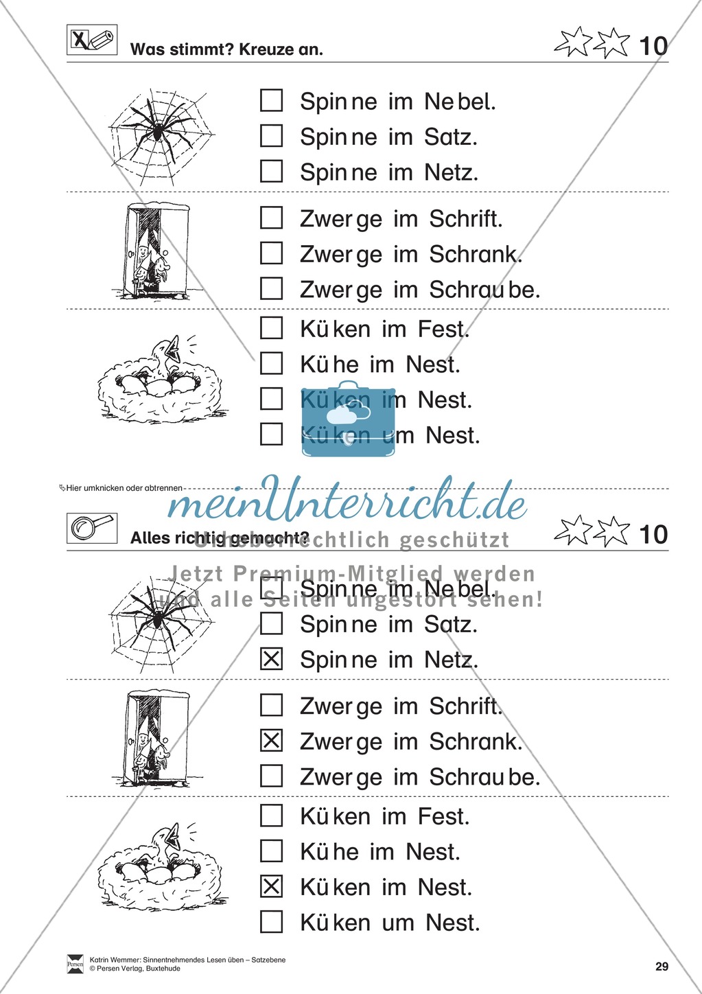 Sinnentnehmendes Lesen üben - Satzebene: