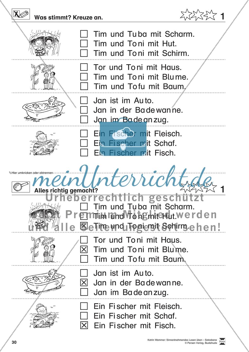 Sinnentnehmendes Lesen üben - Satzebene: