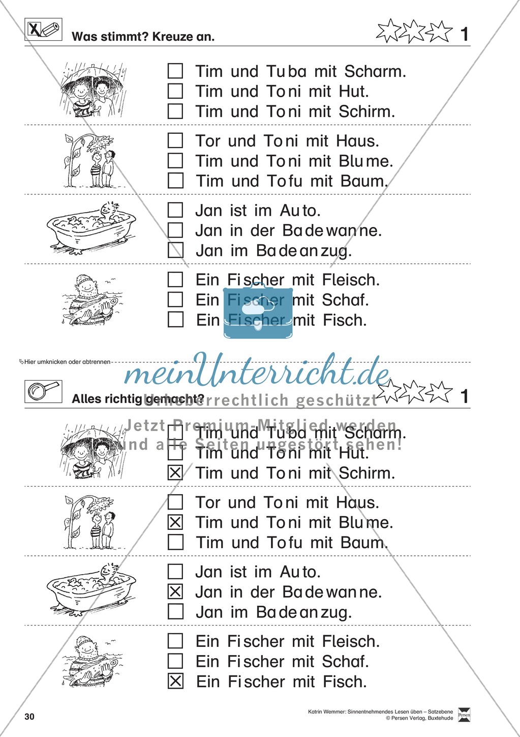 Sinnentnehmendes Lesen üben - Satzebene: