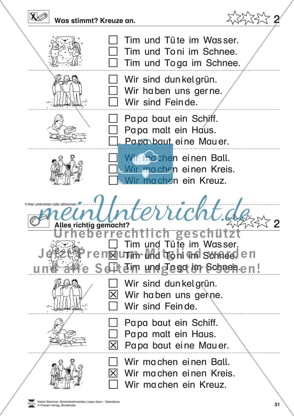 Sinnentnehmendes Lesen üben - Satzebene: