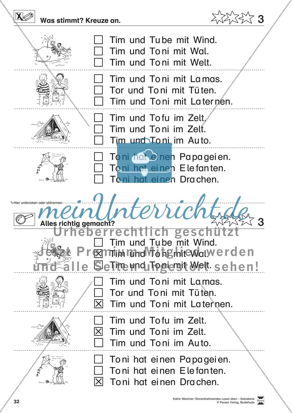 Sinnentnehmendes Lesen üben - Satzebene: