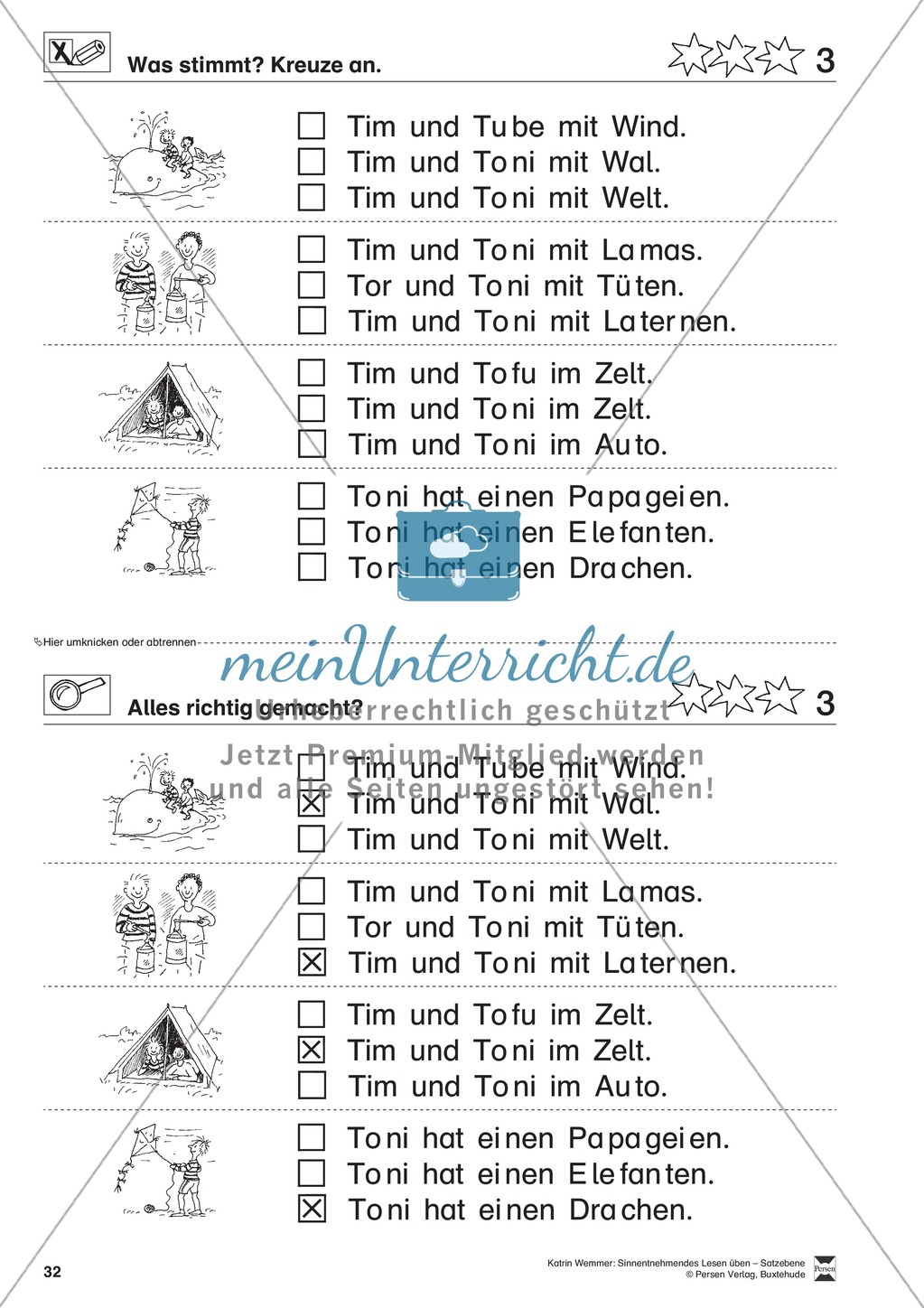 Sinnentnehmendes Lesen üben - Satzebene: