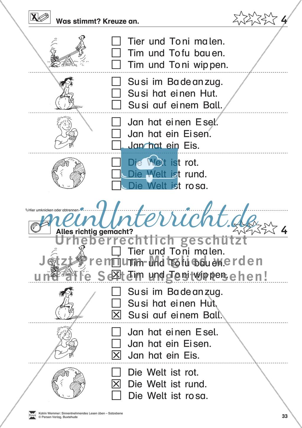 Sinnentnehmendes Lesen üben - Satzebene: