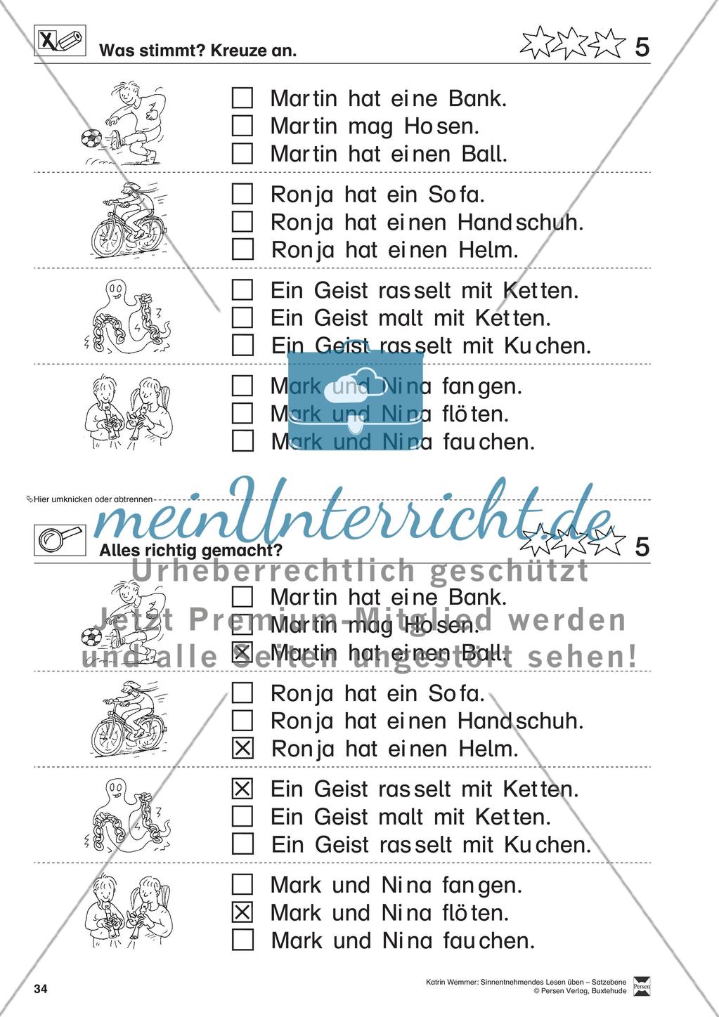 Sinnentnehmendes Lesen üben - Satzebene: