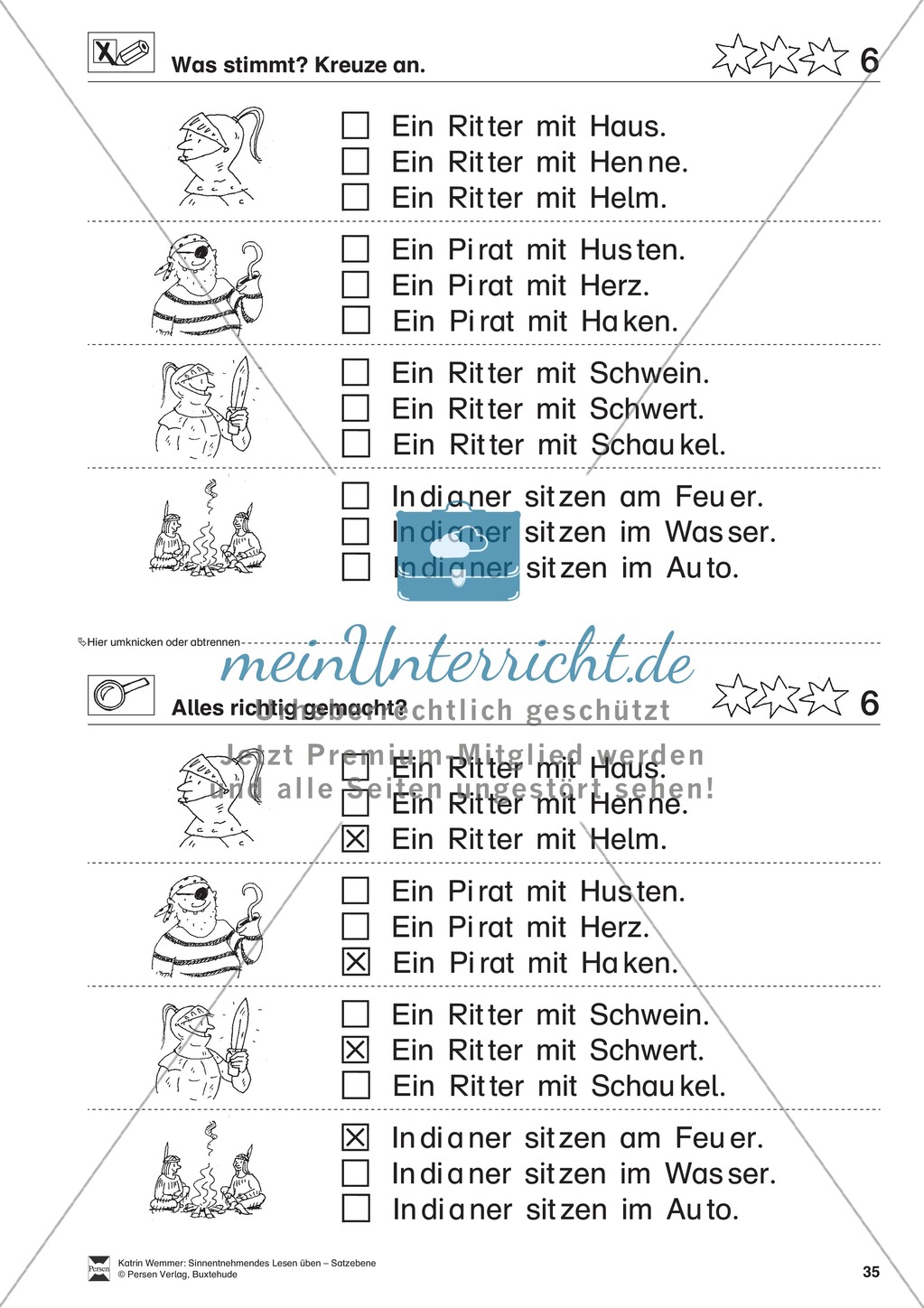 Sinnentnehmendes Lesen üben - Satzebene: