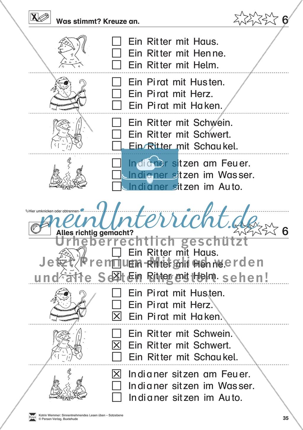 Sinnentnehmendes Lesen üben - Satzebene:
