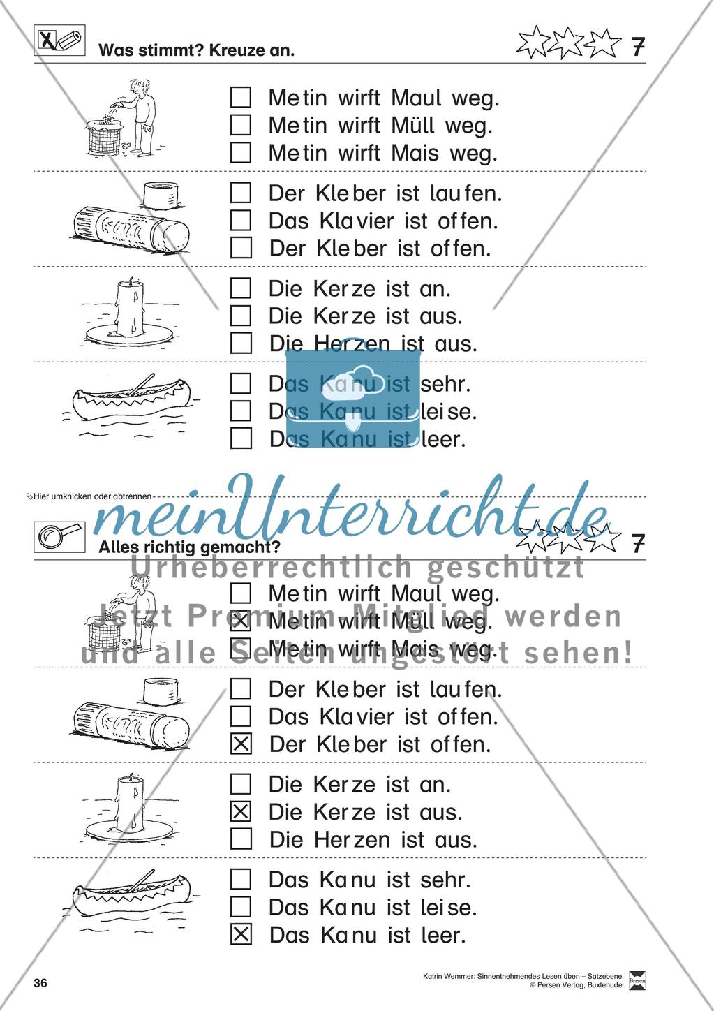 Sinnentnehmendes Lesen üben - Satzebene: