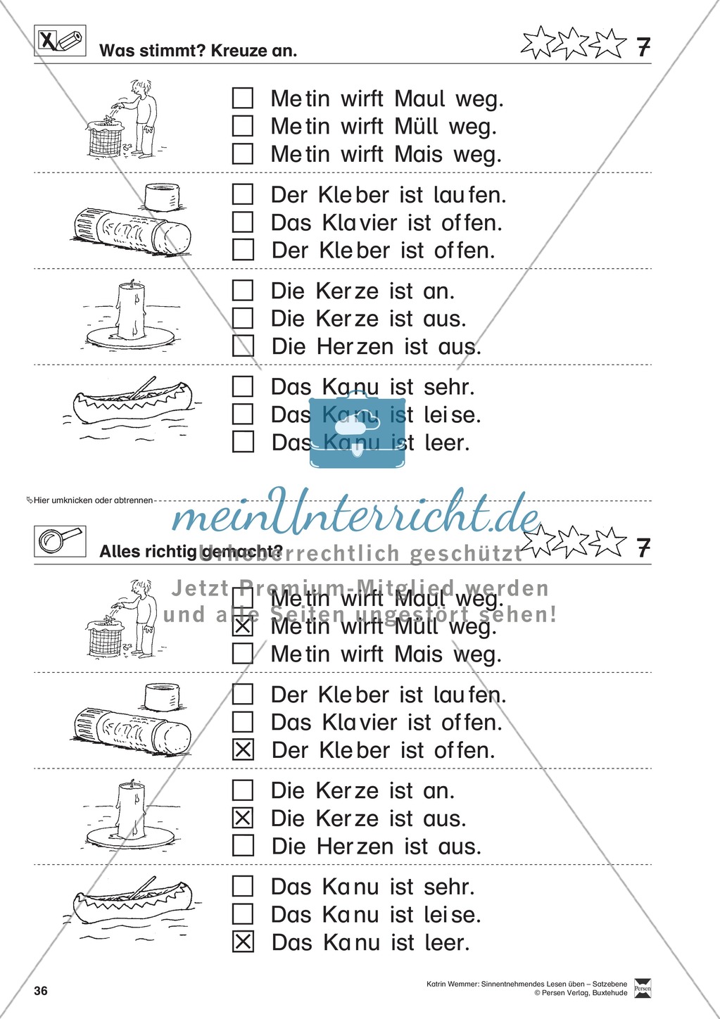 Sinnentnehmendes Lesen üben - Satzebene:
