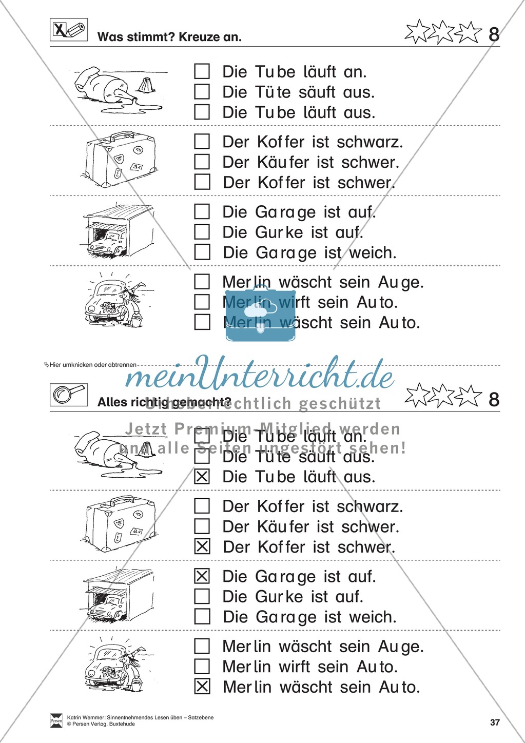 Sinnentnehmendes Lesen üben - Satzebene: