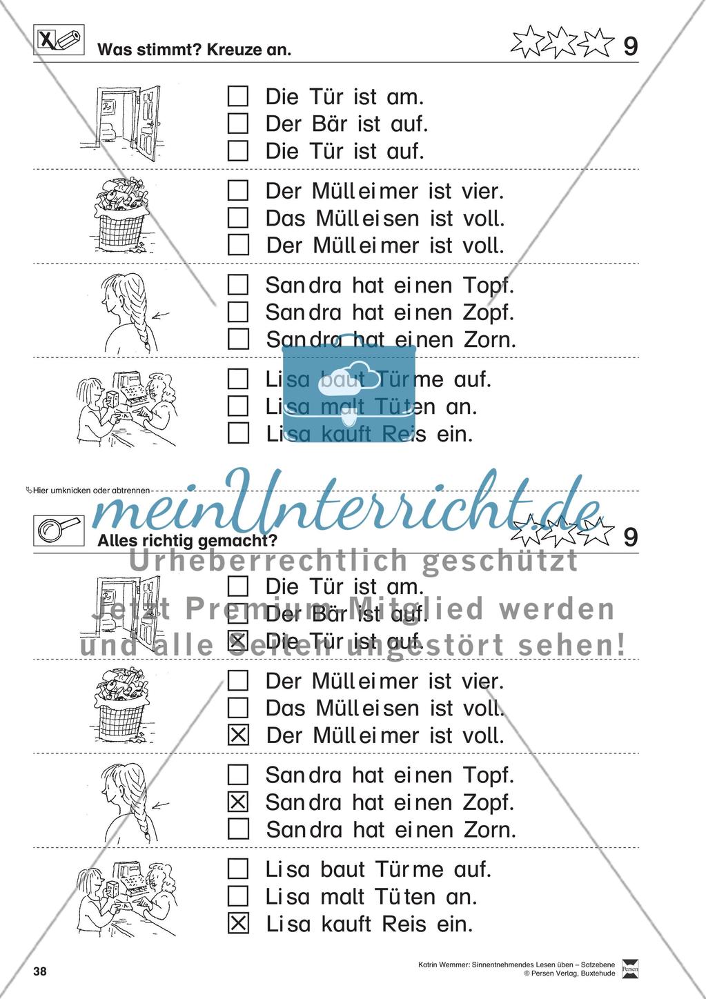 Sinnentnehmendes Lesen üben - Satzebene:
