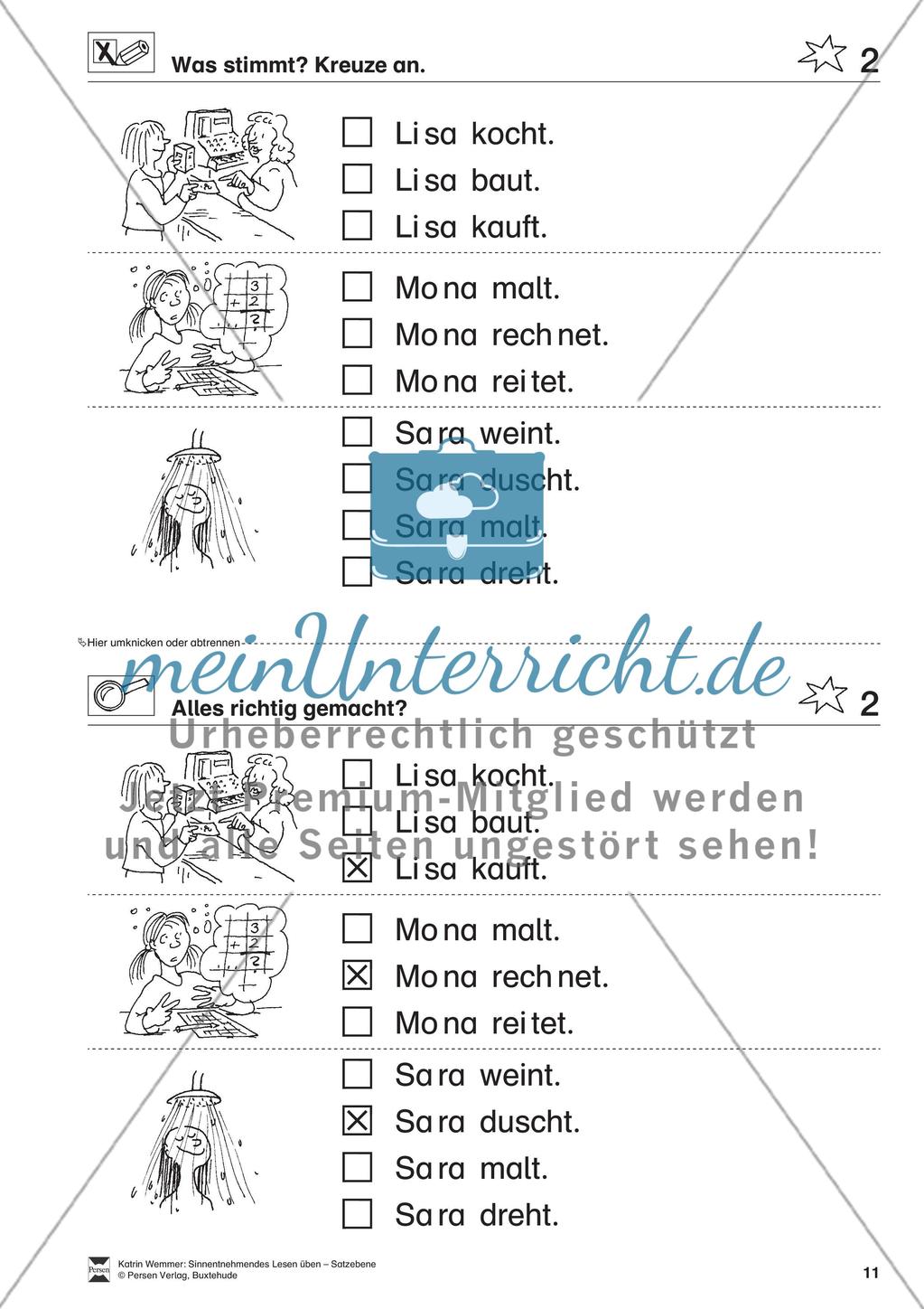 Sinnentnehmendes Lesen üben - Satzebene: