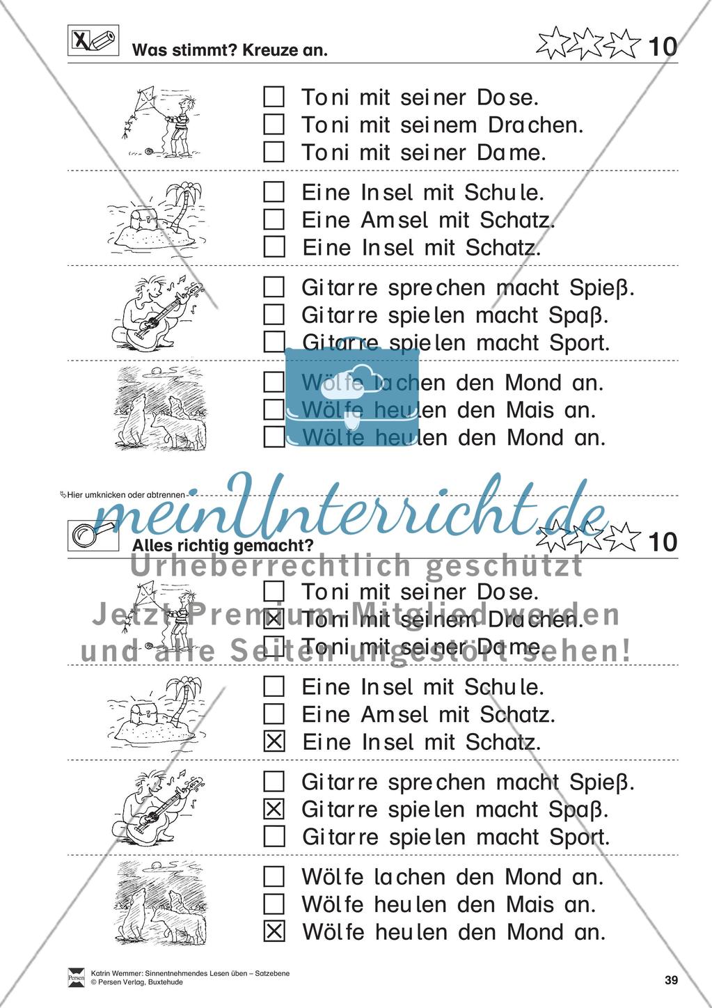 Sinnentnehmendes Lesen üben - Satzebene: