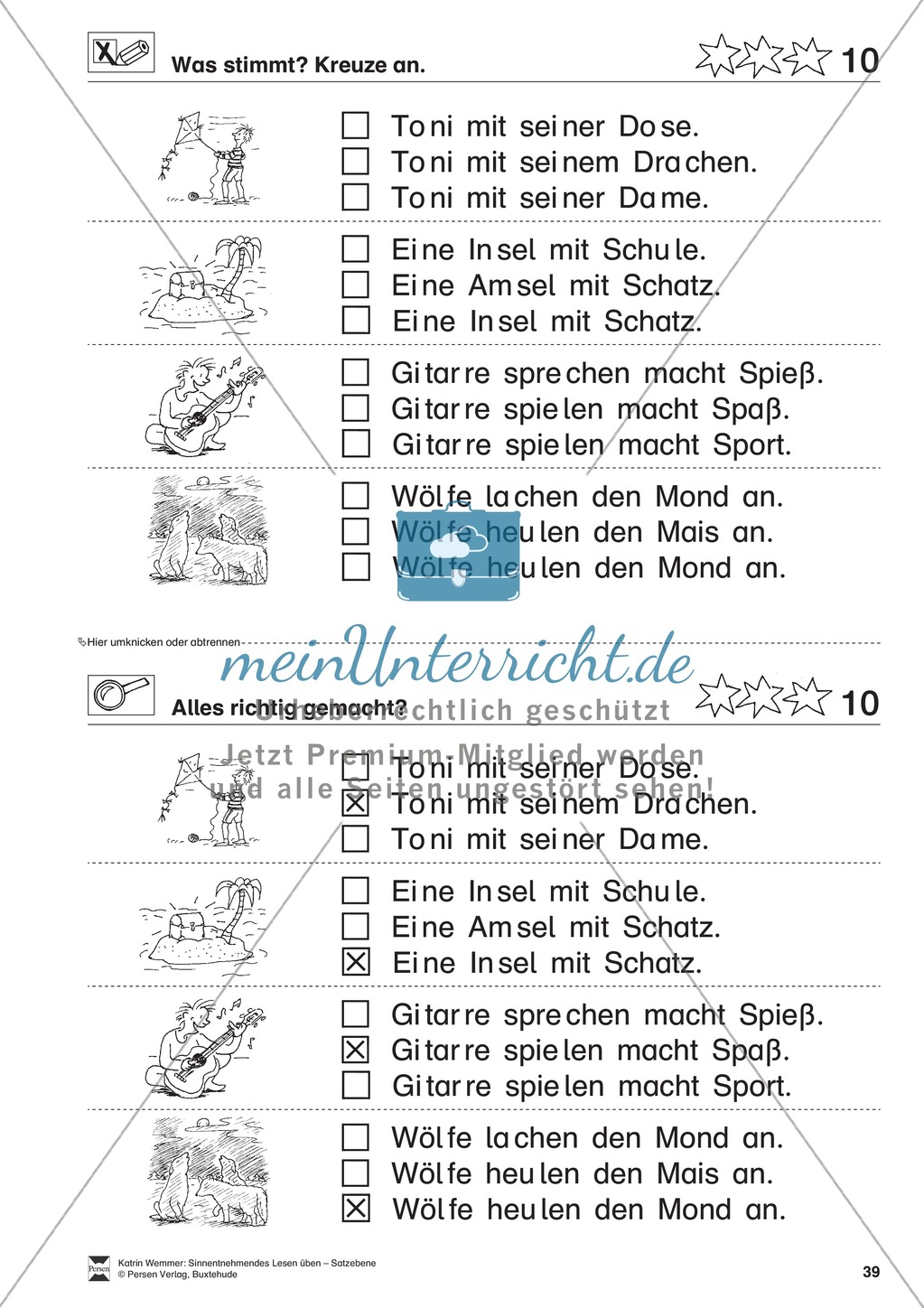 Sinnentnehmendes Lesen üben - Satzebene: