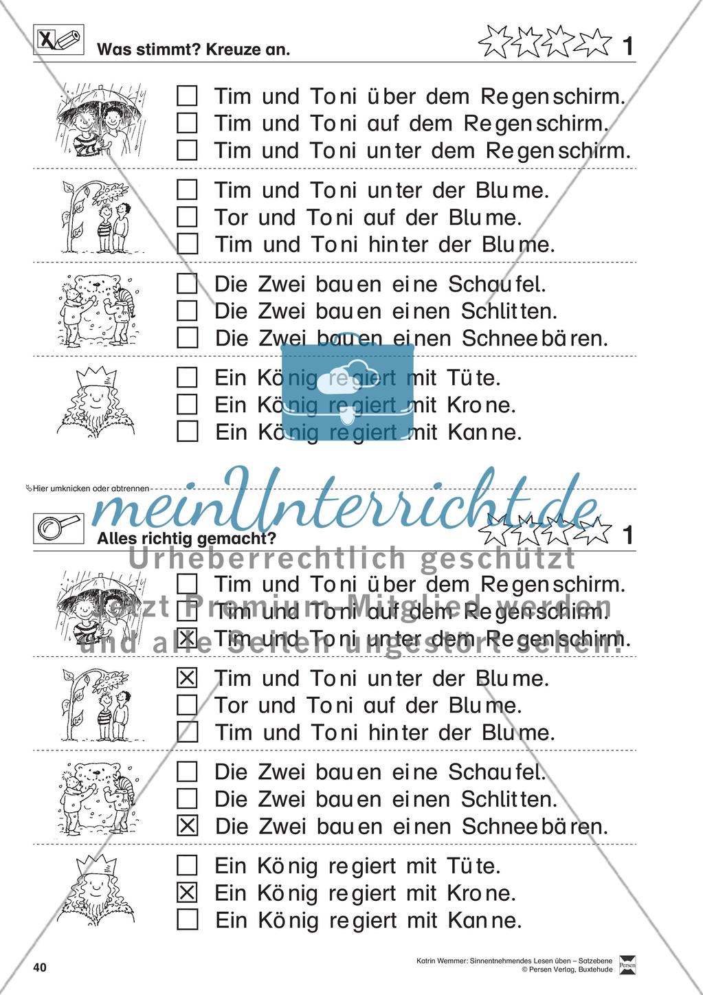 Sinnentnehmendes Lesen üben - Satzebene:
