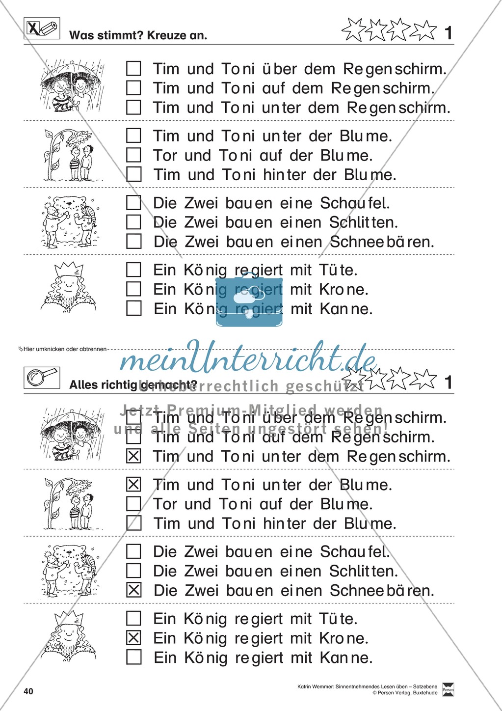 Sinnentnehmendes Lesen üben - Satzebene: