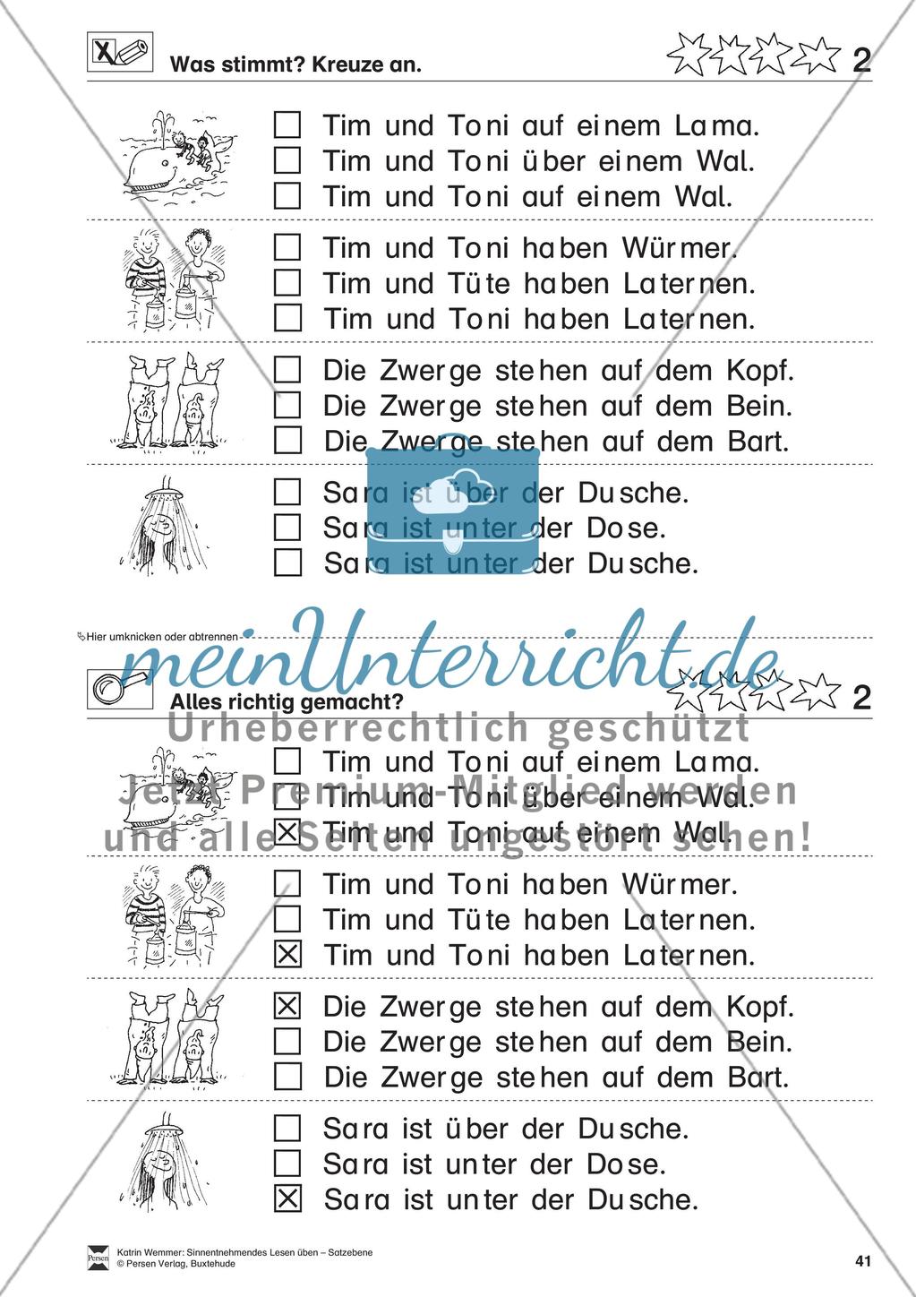 Sinnentnehmendes Lesen üben - Satzebene: