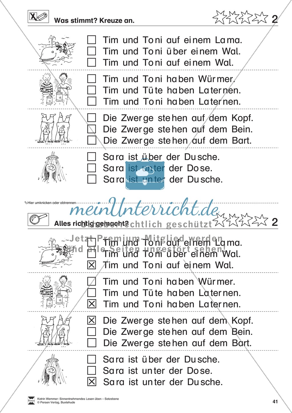 Sinnentnehmendes Lesen üben - Satzebene: