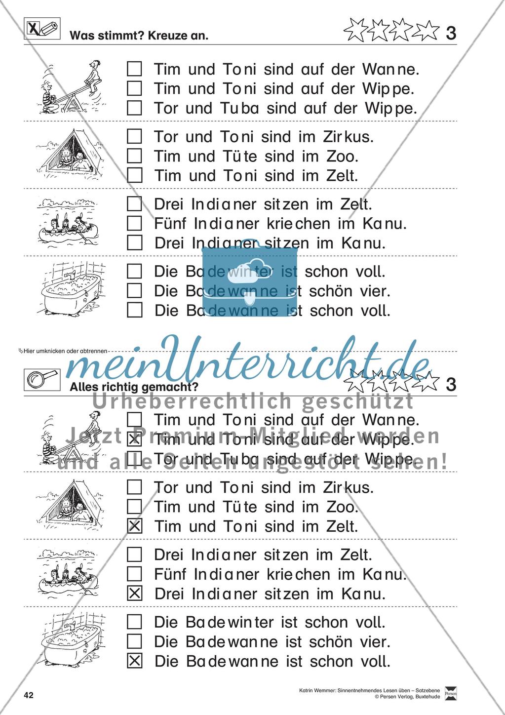 Sinnentnehmendes Lesen üben - Satzebene: