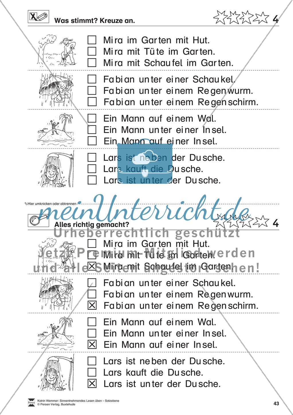 Sinnentnehmendes Lesen üben - Satzebene: