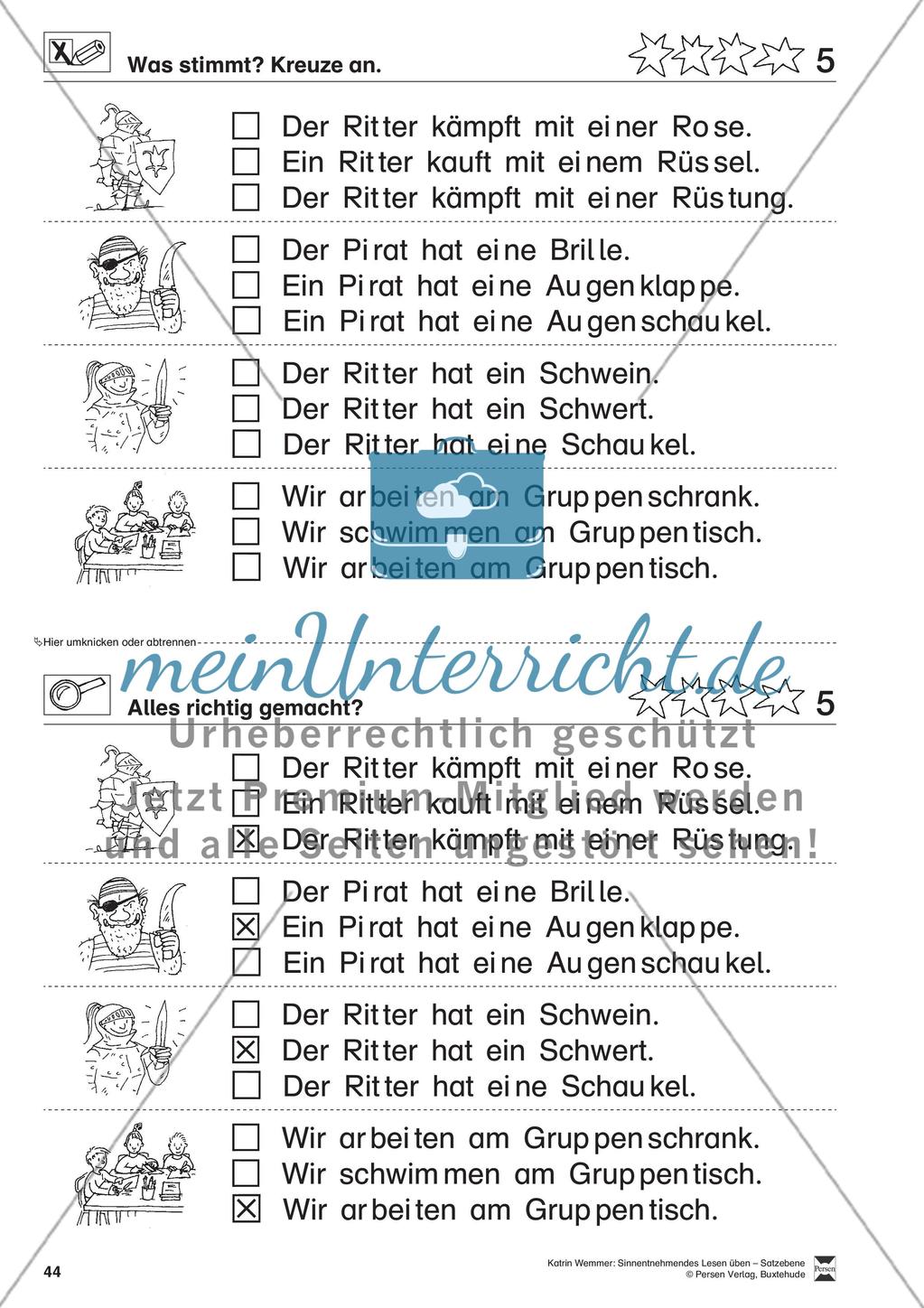 Sinnentnehmendes Lesen üben - Satzebene: