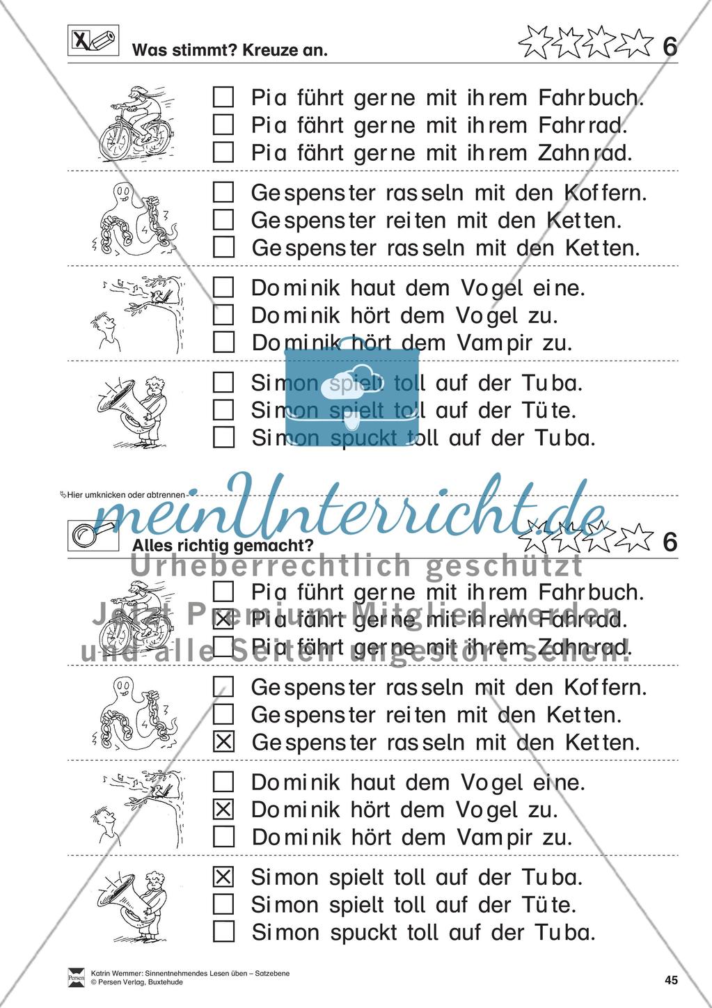 Sinnentnehmendes Lesen üben - Satzebene: