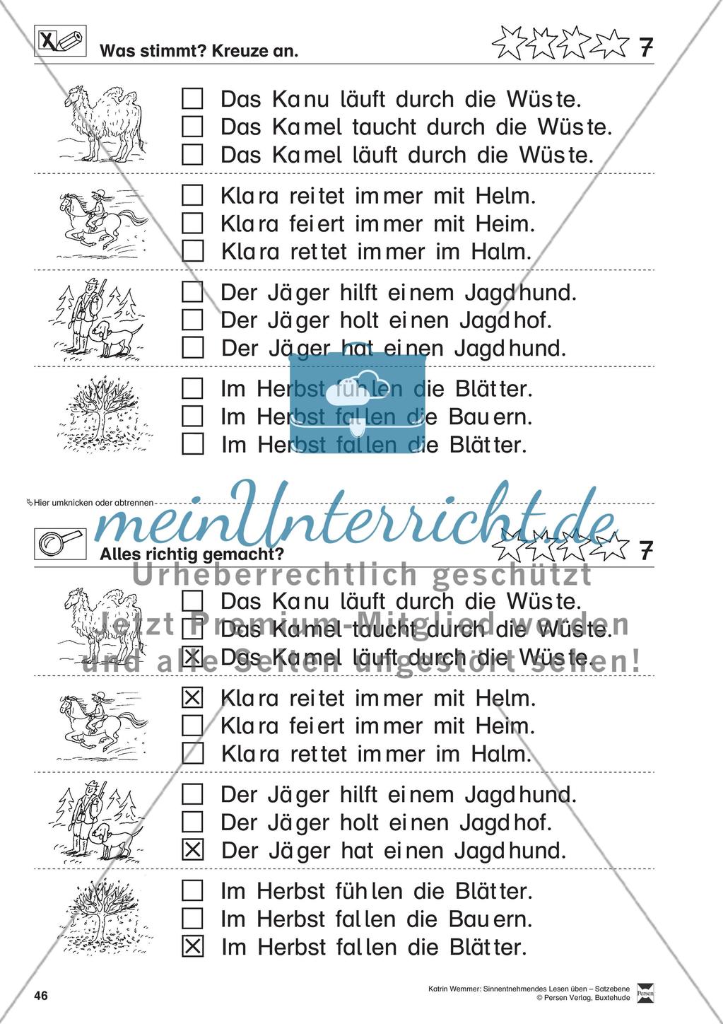 Sinnentnehmendes Lesen üben - Satzebene: