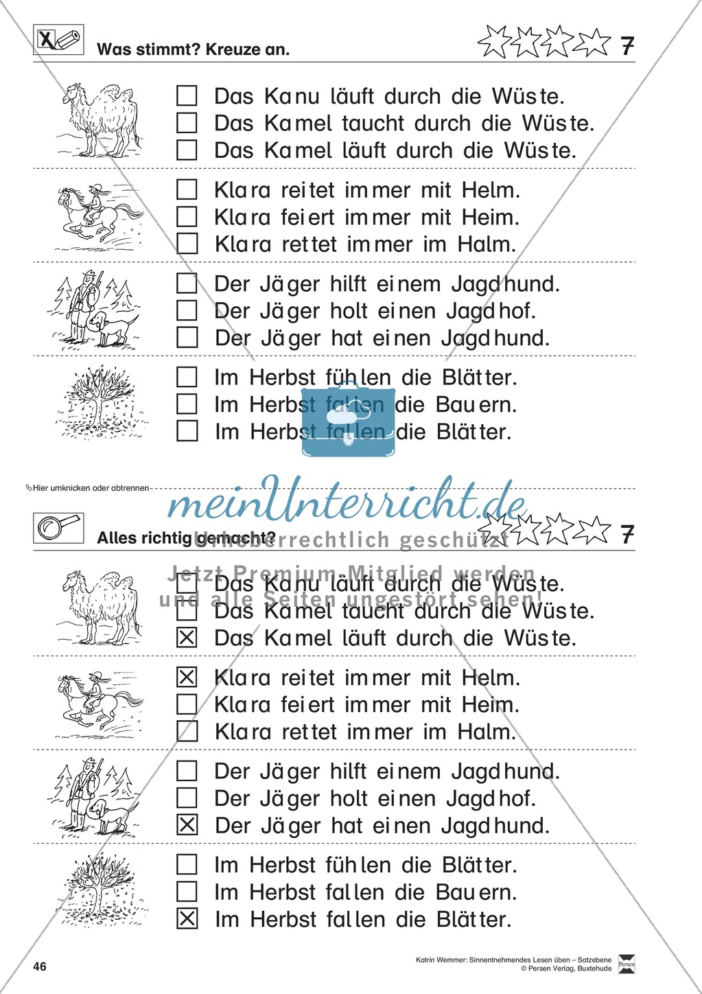 Sinnentnehmendes Lesen üben - Satzebene: