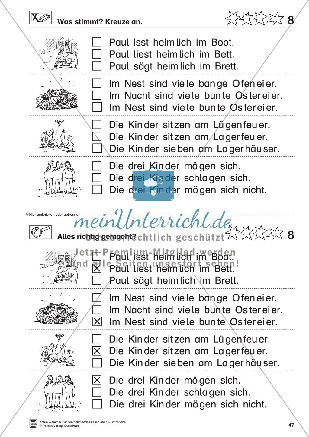 Sinnentnehmendes Lesen üben - Satzebene:
