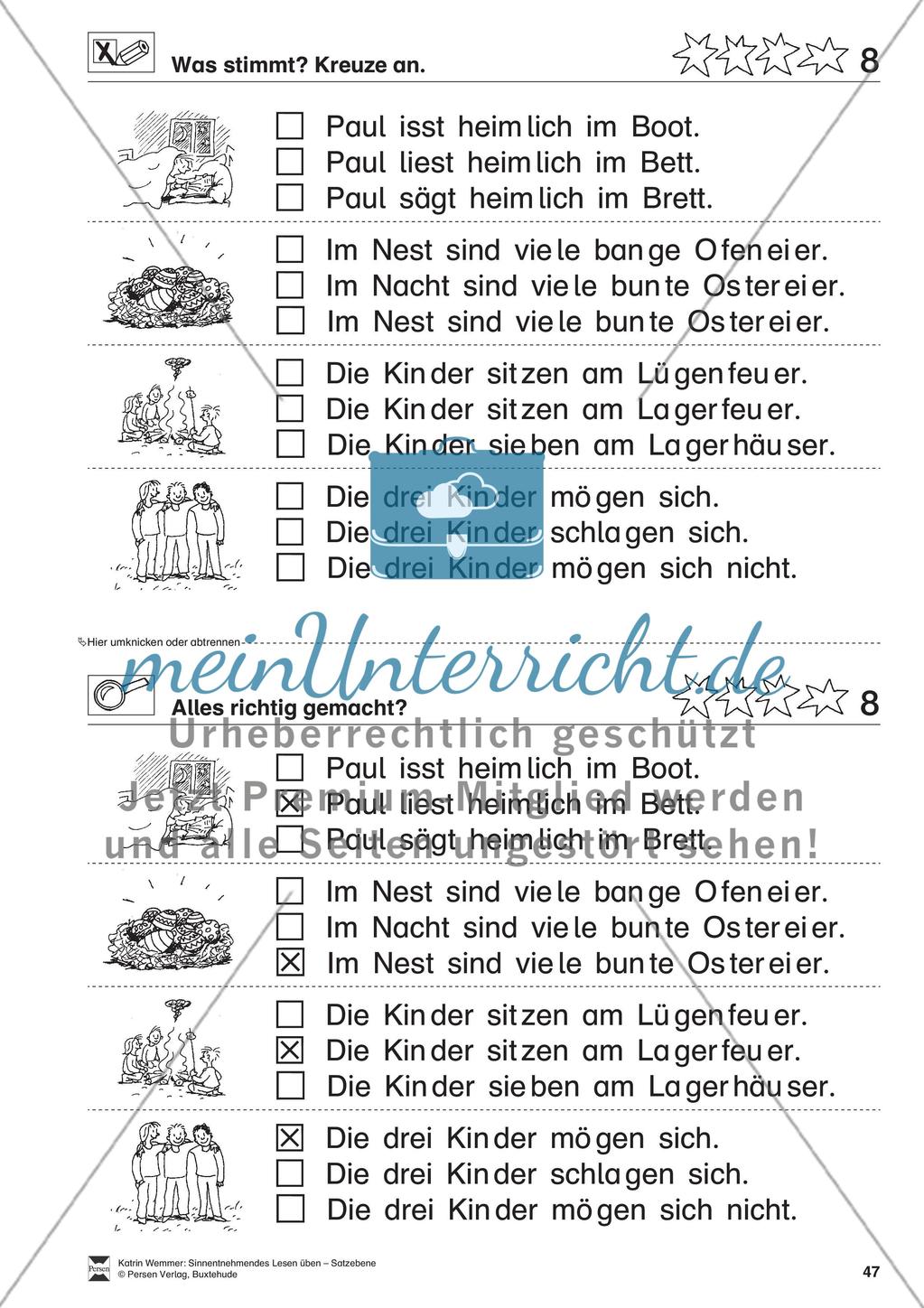 Sinnentnehmendes Lesen üben - Satzebene:
