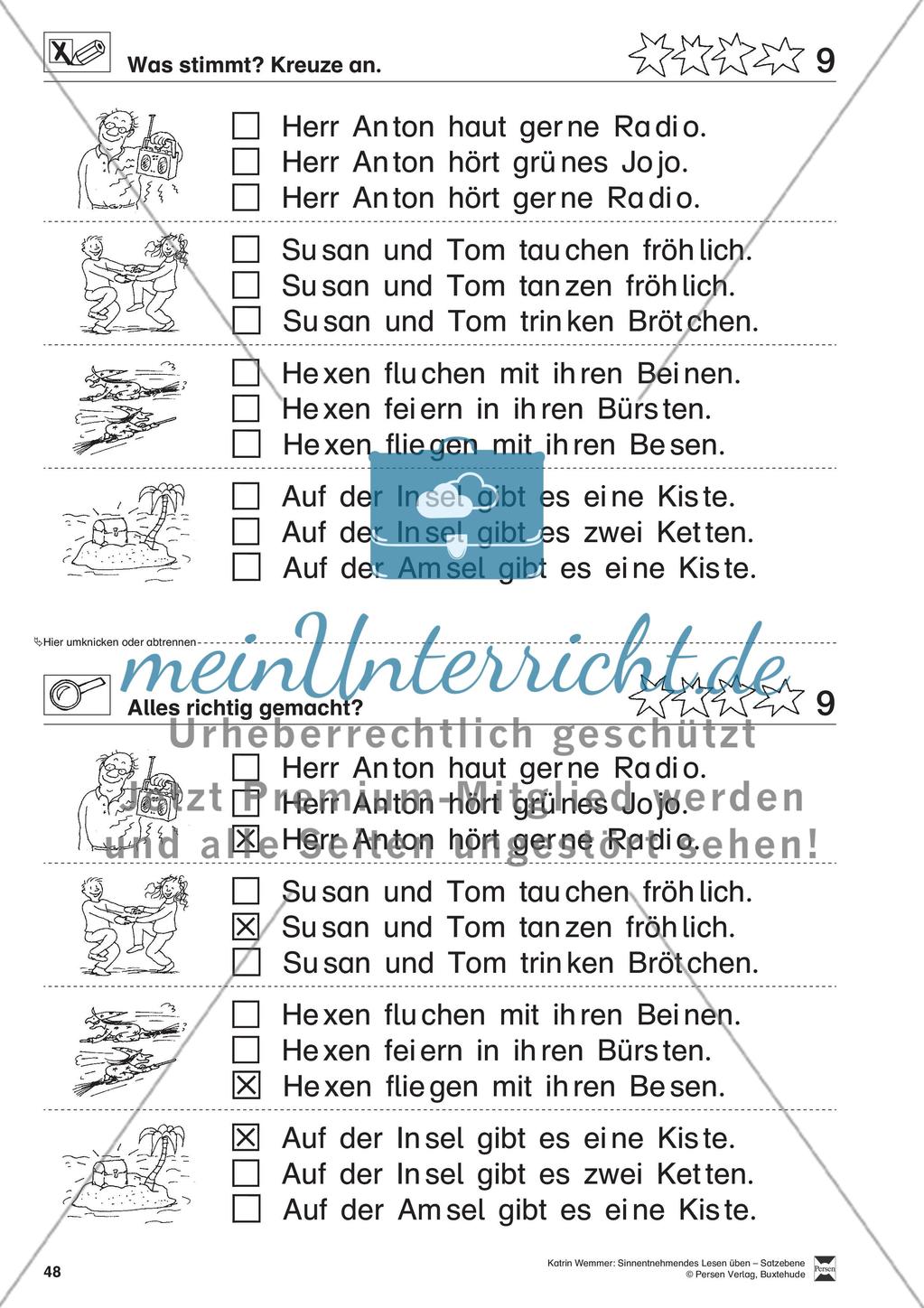 Sinnentnehmendes Lesen üben - Satzebene: