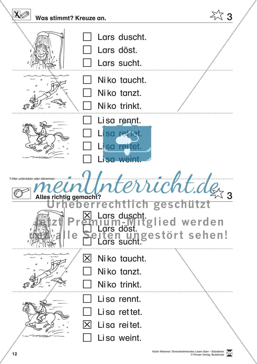 Sinnentnehmendes Lesen üben - Satzebene: