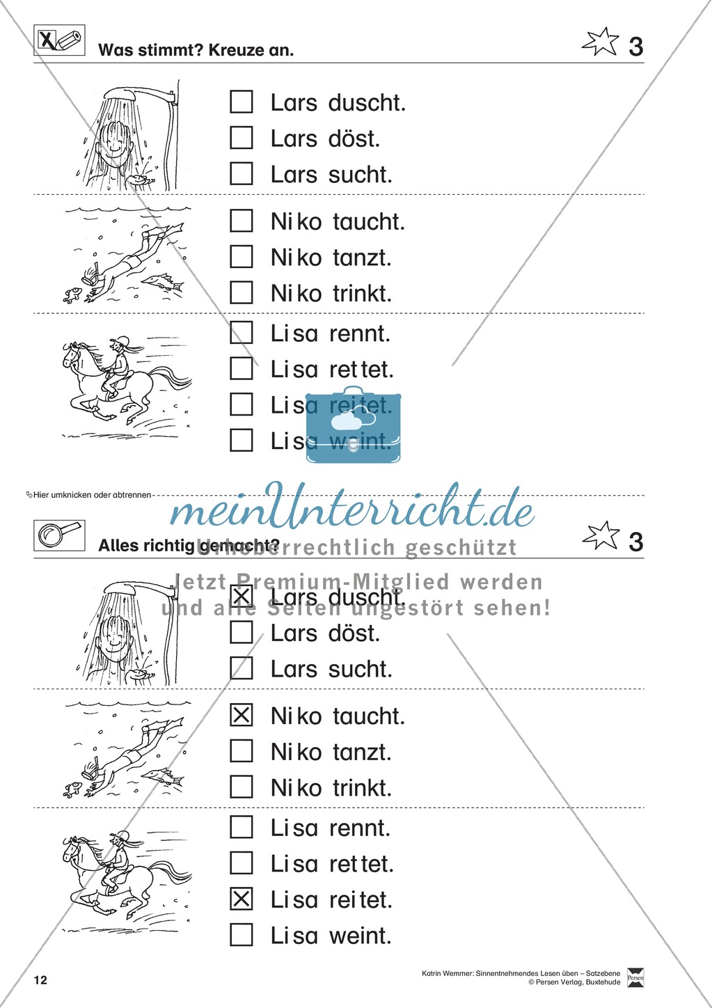 Sinnentnehmendes Lesen üben - Satzebene: