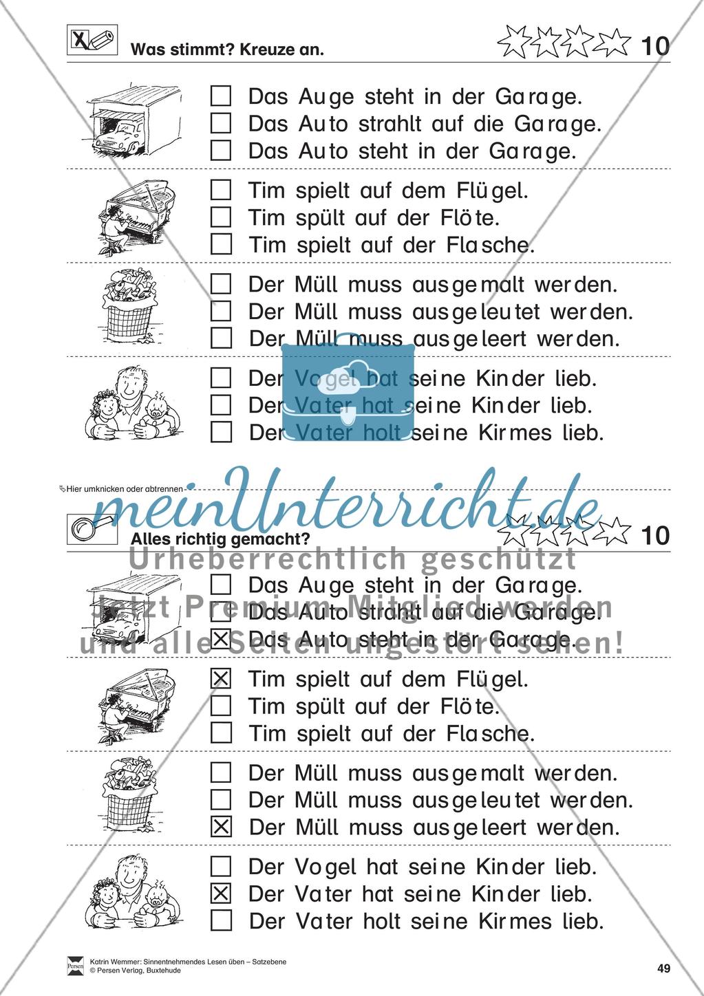 Sinnentnehmendes Lesen üben - Satzebene:
