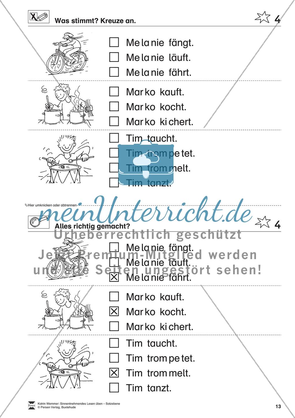 Sinnentnehmendes Lesen üben - Satzebene: