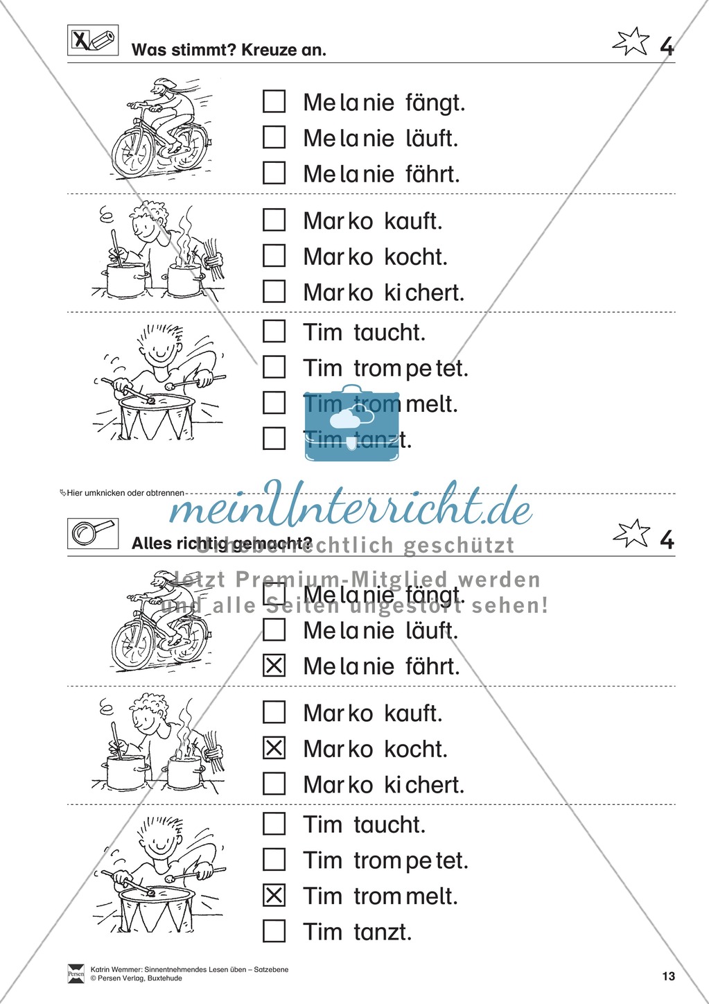 Sinnentnehmendes Lesen üben - Satzebene: