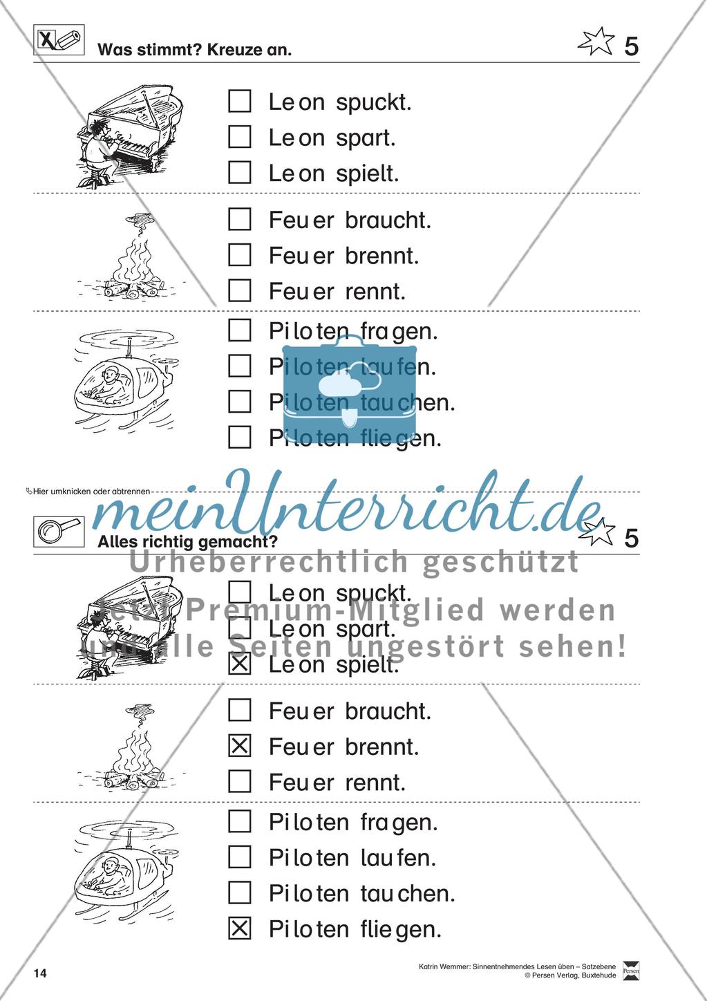 Sinnentnehmendes Lesen üben - Satzebene: