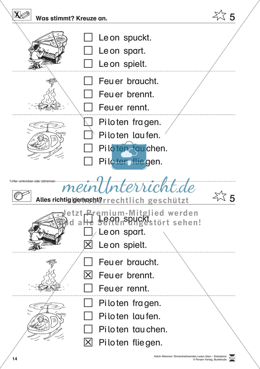 Sinnentnehmendes Lesen üben - Satzebene: