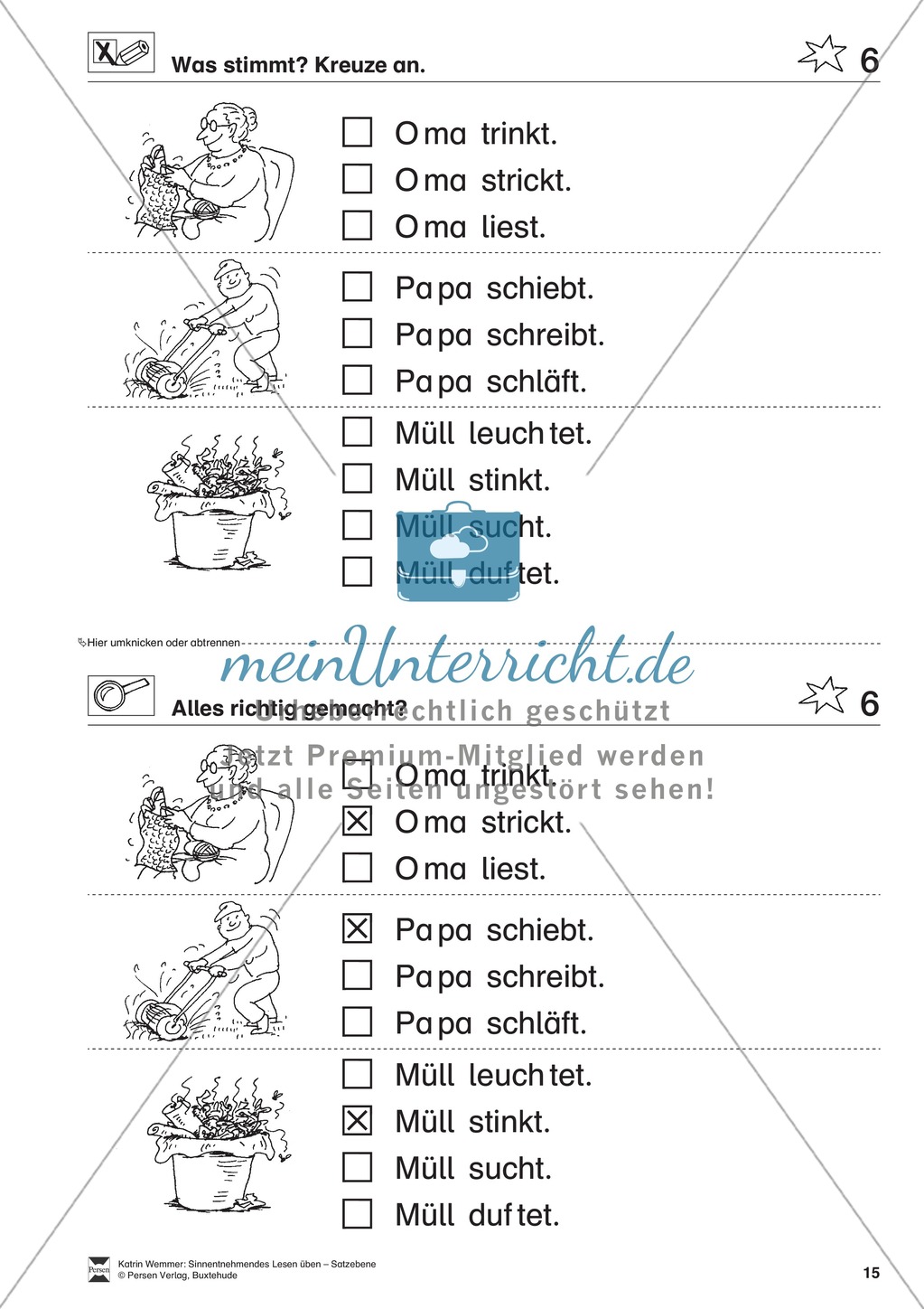 Sinnentnehmendes Lesen üben - Satzebene:
