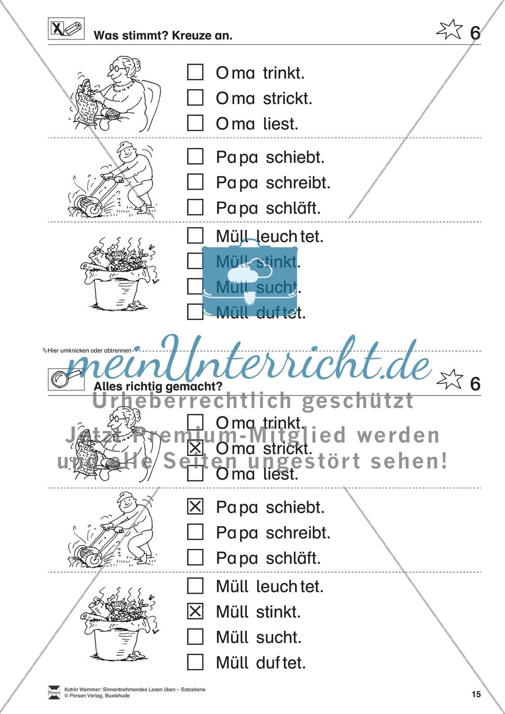 Sinnentnehmendes Lesen üben - Satzebene: